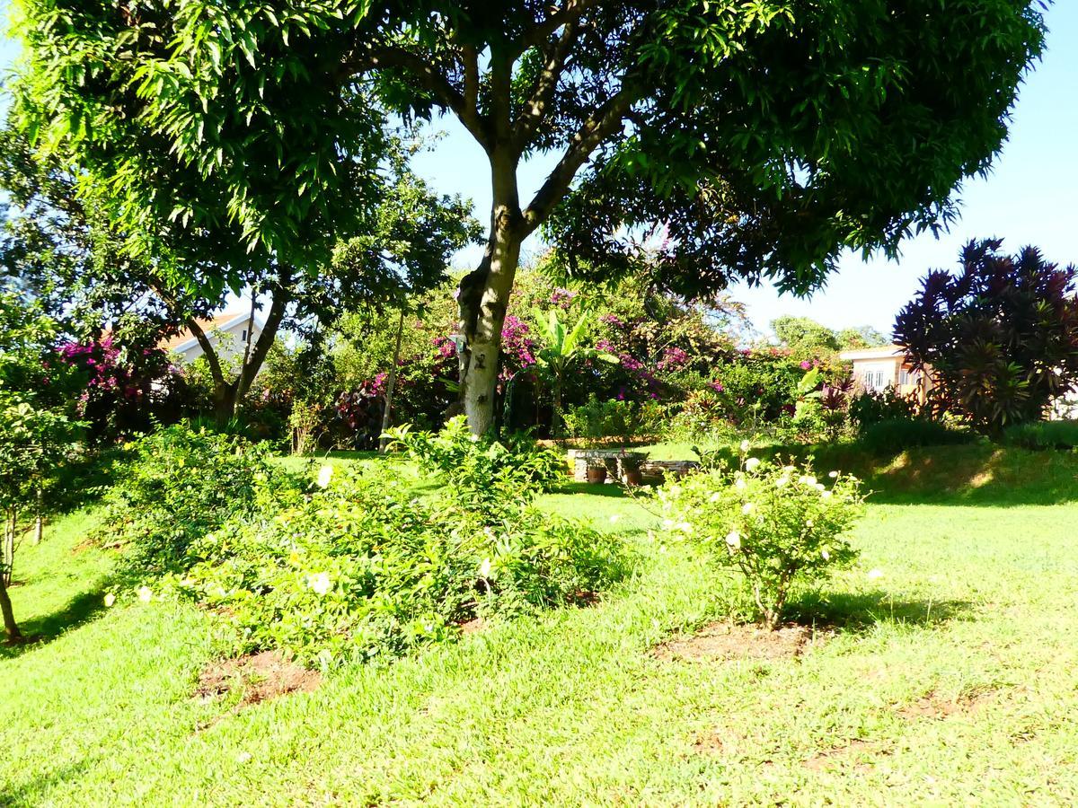 Pineapple Guest House Entebbe Exterior foto